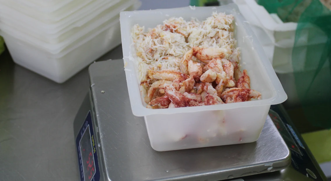 Pote de carne de centollón sobre balanza durante el moldeo