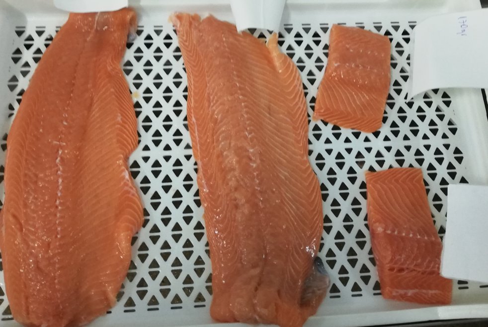 Filetes industriales de salmón tratados con ANPEIX 100 PLUS SP mostrando mejora de color
