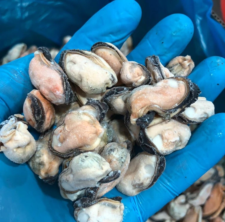 Mejillones congelados para evaluación visual de glaseo ANPEX GLASS