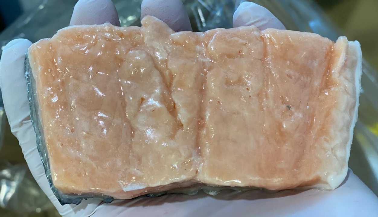 Porción de salmón glaseada con ANPEX GLASS 70L sostenida con guante