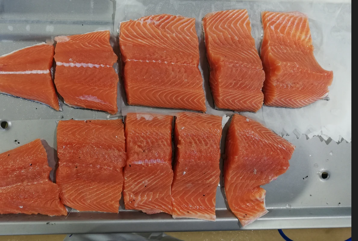 Porciones de salmón salar dispuestas para preglaseado con ANPEX GLASS 70L